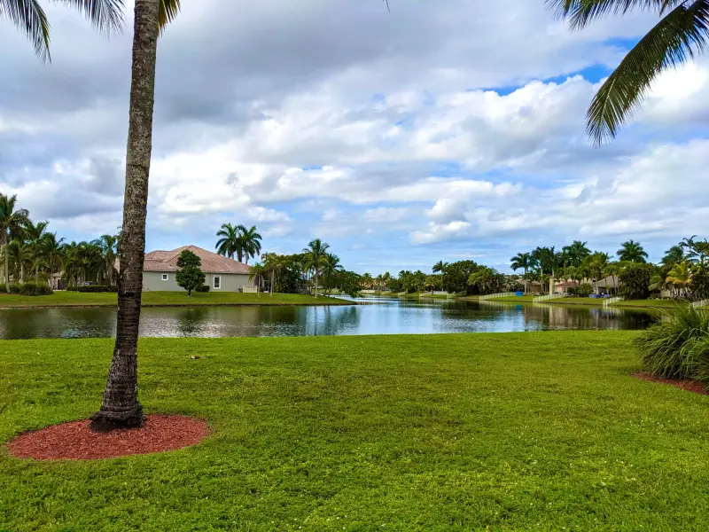 A lake lined with palm trees in Pembroke Pines